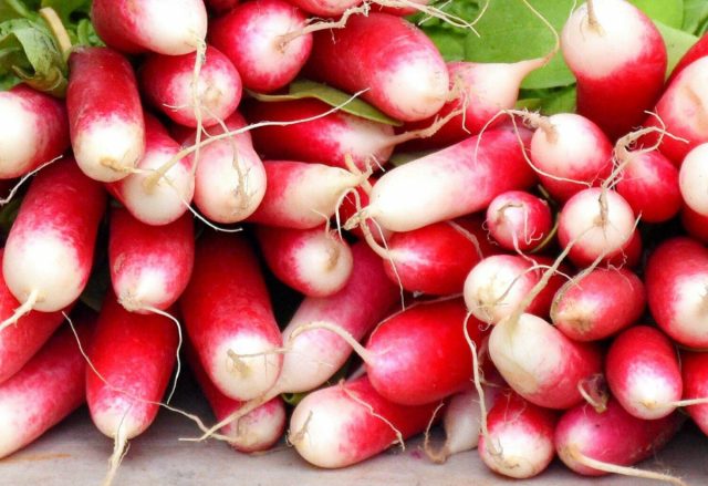 "Редис 18 дней" - ультраскороспелый сорт (от всходов до созревания редиски проходит 18-20 дней).