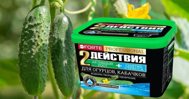 Внесите под них водорастворимое удобрение Bona Forte (10 г на 10 л воды) перед приходом продолжительного ненастья и кусты гораздо легче перенесут неблагоприятные условия.