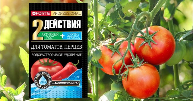 Добавьте в такую систему комплекс с аминокислотами Bona Forte для томатов и перцев (из расчёта 10 г на 10 л воды) и вы получите крепкие и здоровые растения.