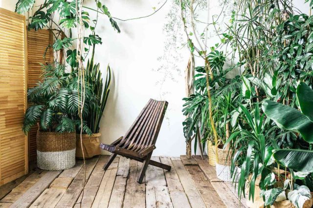 Эко-стиль стоит поддерживать именно большим количеством зелени и её гармоничным сочетанием с удобствами цивилизации.