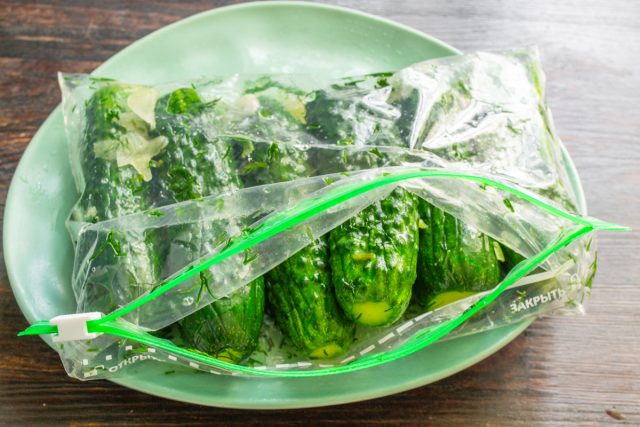 В зависимости от желаемого результата разнится процесс засолки. Если оставить на сутки при комнатной температуре в тепле, то начнется процесс ферментации, будут как квашеные огурцы. В зависимости от желаемого результата разнится процесс засолки. Если оставить на сутки при комнатной температуре в тепле, то начнется процесс ферментации, будут как квашеные огурцы.