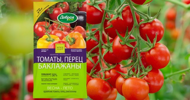 И если при обработке почвы или в течение сезона периодически не вносить пролонгированное удобрение Томаты-Перец-Баклажаны Добрая сила, то дефицит становится хроническим со всеми вытекающими последствиями. И если при обработке почвы или в течение сезона периодически не вносить пролонгированное удобрение Томаты-Перец-Баклажаны Добрая сила, то дефицит становится хроническим со всеми вытекающими последствиями.