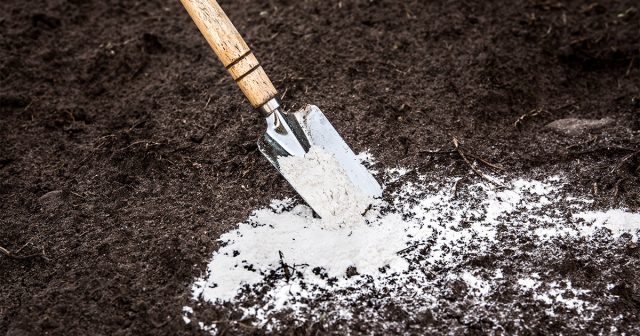 Если он намного ниже, то для подщелачивания используется мел, доломитовая мука или гашёная известь. Если он намного ниже, то для подщелачивания используется мел, доломитовая мука или гашёная известь.