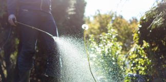 Гербициды — ваши друзья: правила эффективного использования - Грин Бэлт — урожай под защитой Гербициды — ваши друзья: правила эффективного использования.