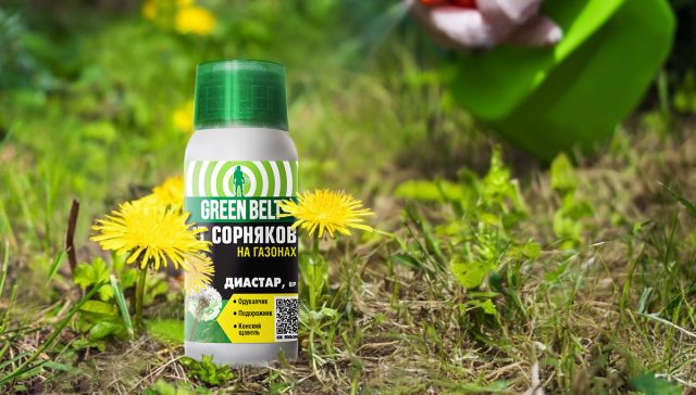 Гербицид «Диастар» относится к средствам избирательного действия и подавляет рост только двудольных сорняков.
