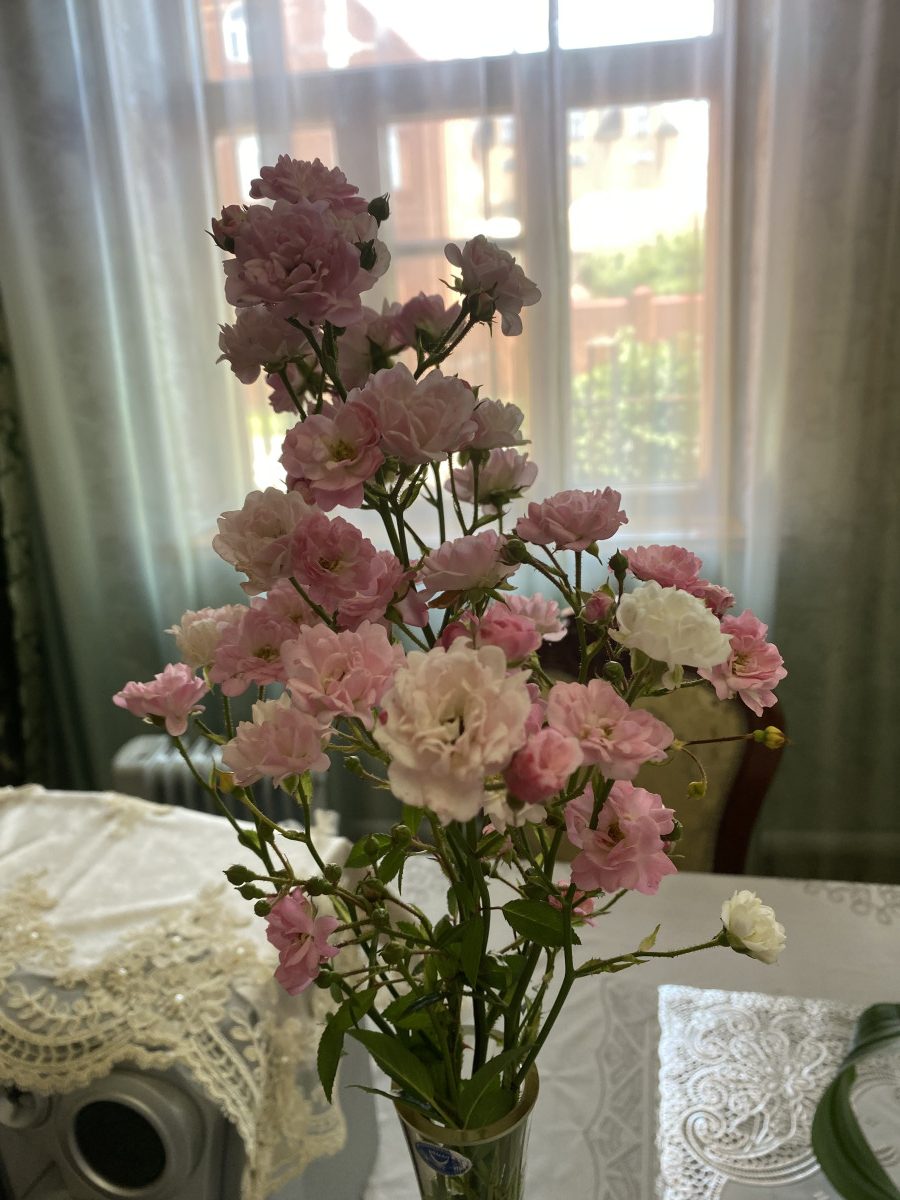 izobrazhenie-jpeg-5-1