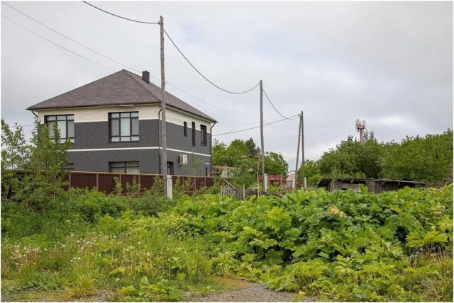 Собственник участка обязан следить за своей землей и своевременно уничтожать борщевик. Это прямая обязанность, а ее игнорирование приводит к штрафу.