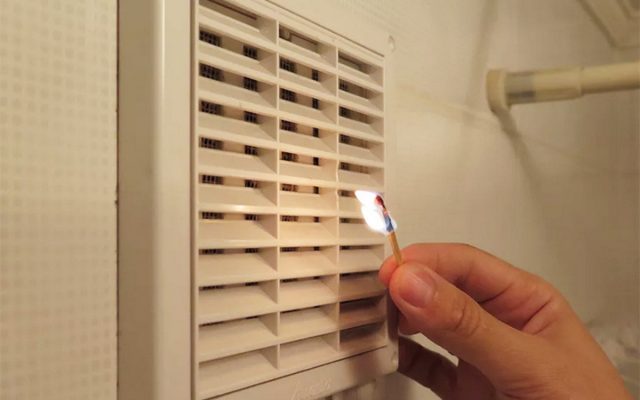 Если в комнате регулярно появляется сквозняк, свежий приток и отток воздуха, то грибу будет намного сложнее выжить.