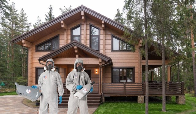 Команда «ПрофСанЭксперт» всегда начинает с диагностики. Мы смотрим, какой тип дерева, насколько сильное заражение, в каком состоянии конструкция. Учитываем даже сезон и влажность.