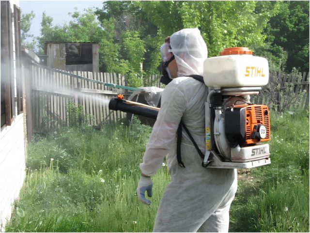 Химический способ обработки с помощью инсектицидов методом мелкодисперсного опыления древесины