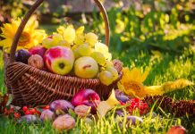 Лунный календарь садовода и огородника на август 2025 года Лунный календарь садовода и огородника на август 2025 года