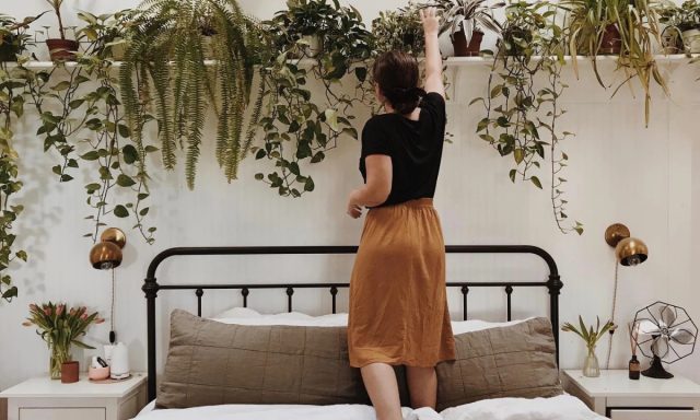 Итак, комнатные растения производят кислород, но процент не особо высокий. При самом оптимистичном сценарии за сутки вырабатывается около 30 мл кислорода.