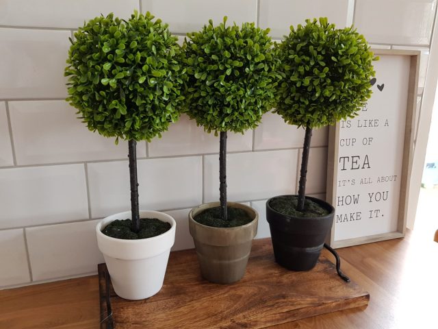 Самшит нуждается в частых, обильных (летом в жару не менее 2-3 раз в неделю) поливах. Самшит нуждается в частых, обильных (летом в жару не менее 2-3 раз в неделю) поливах.