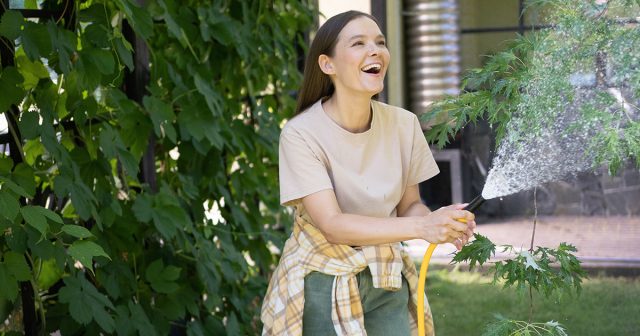 Система полива: как организовать качественно и без проблем.