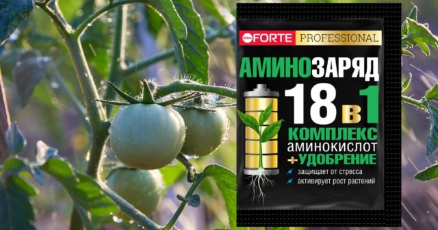 Чтобы повысить их иммунитет в стрессовом и постстрессовом состоянии рекомендуем подкормки минеральным водорастворимым удобрением Аминозаряд 18 в 1 Bona Forte.