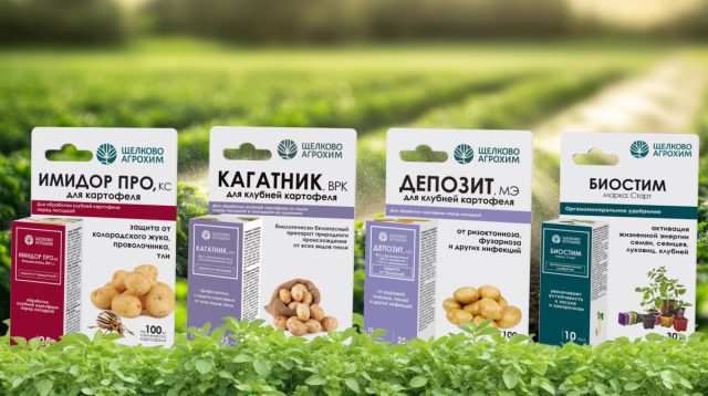 «Депозит, МЭ» – защищает от основных фитопатогенных грибов; «Кагатник, ВРК» – препятствует поражению клубней различными видами гнилей и сохранению патогенов на семенном материале; «Имидор Про, КС» – уничтожает основных летних вредителей; «Биостим Старт» – ускоряет прорастание и стимулирует рост корневой системы кустов.