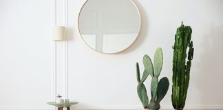 7 по-настоящему высоких кактусов для гостиной.