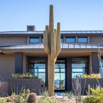 Карнегия гигантская (Carnegiea gigantea), или сагуаро - это впечатляющее растение. Самый большой кактус в США, где он вырастает с трёхэтажное здание.