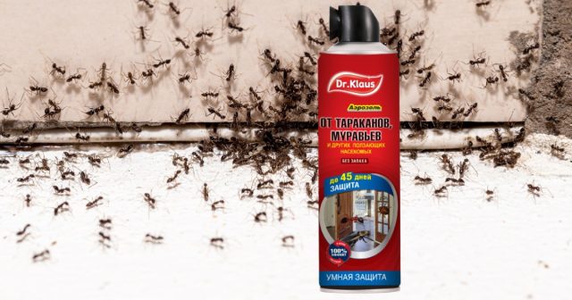 Например, аэрозоль Dr.Klaus от ползающих насекомых можно за считанные минуты нанести на любые поверхности и получить гарантированную защиту от муравьёв до полутора месяцев.