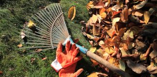 Что нельзя делать садоводам и огородникам в сентябре - Календари садово-огородных работ Что нельзя делать садоводам и огородникам в сентябре.