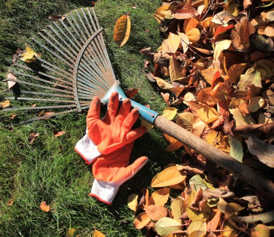 Что нельзя делать садоводам и огородникам в сентябре Что нельзя делать садоводам и огородникам в сентябре.