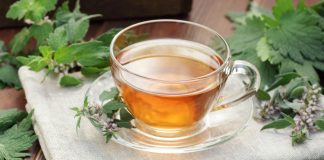 Что вы должны знать о пустырнике — всё о пользе, выращивании и применении - Сад и огород Что вы должны знать о пустырнике — выращивание, полезные свойства и рецепты.