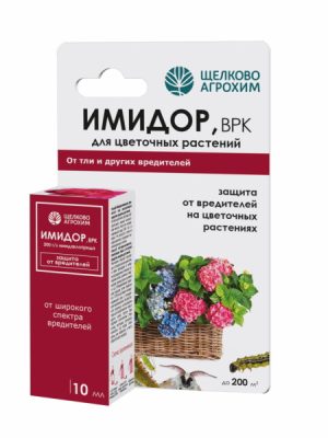 Для искореняющих обработок цветов от тли и белокрылки применяется препарат «Имидор, ВРК» для цветочно-декоративных культур. Для искореняющих обработок цветов от тли и белокрылки применяется препарат «Имидор, ВРК» для цветочно-декоративных культур.