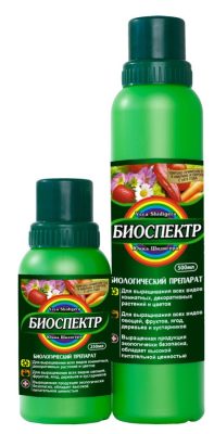 Для дополнительной защиты и профилактики болезней можно использовать стимулятор роста, антистрессант и индуктор устойчивости к неблагоприятным условиям «БИОСПЕКТР».