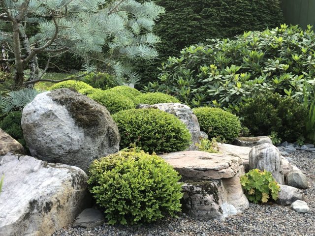 Большие композиции из стриженых кустарников и деревьев носят название оокарикоми.