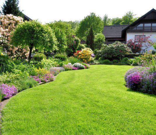 Как визуально расширить или уменьшить сад — советы ландшафтного дизайнера