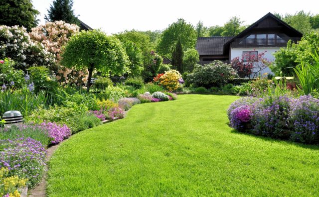 Как визуально расширить или уменьшить сад — советы ландшафтного дизайнера