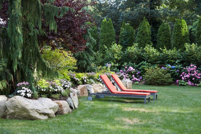 Если мы хотим создать иллюзию большего пространства, чем есть на самом деле, границы участка нужно оформить в серо-голубой гамме. Для этого используйте растения с серебристой, голубой или серо-зеленой листвой/хвоей.