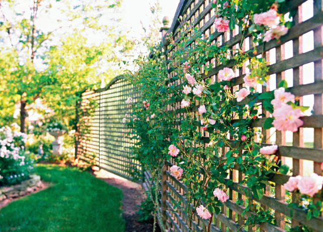 Если выбрать сквозное ограждение, например, из кованой решетки, редкого штакетника или сетки-рабицы, можно начать взаимодействие с окружающим ландшафтном, включив его в композицию сада. 