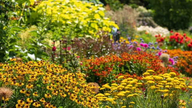 Если говорить о визуальной составляющей в целом, то теплые оттенки (желтый, оранжевый, красный) как бы приближаются к зрителю.