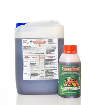 Триходерма благотворно влияет на состояние самых разных культурных растений, выделяя вещества, стимулирующие их рост и развитие.