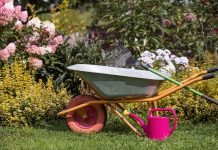 Лунный календарь садовода и огородника на сентябрь 2025 года Лунный календарь садовода и огородника на сентябрь 2025 года.