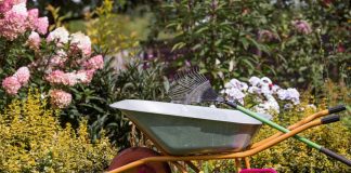 Лунный календарь садовода и огородника на сентябрь 2025 года - Календари Лунный календарь садовода и огородника на сентябрь 2025 года.