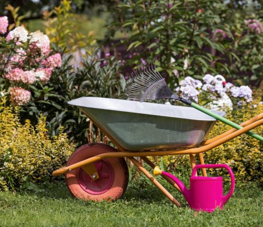 Лунный календарь садовода и огородника на сентябрь 2025 года Лунный календарь садовода и огородника на сентябрь 2025 года.