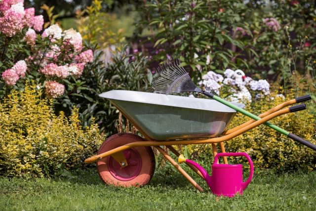 Лунный календарь садовода и огородника на сентябрь 2025 года.