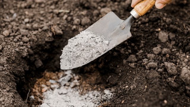 Фосфорно-калийные удобрения подойдут и многим овощным культурам, и плодовым деревьям и кустам.