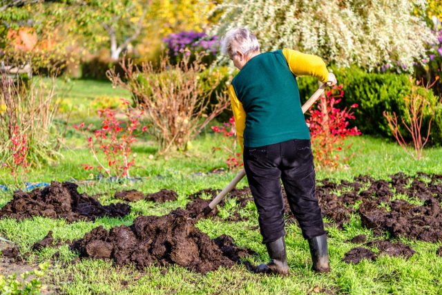 Качественные органические удобрения улучшают физическую структуру почвы, а также, помимо минералов, многие из них содержат ценные гуминовые соединения.
