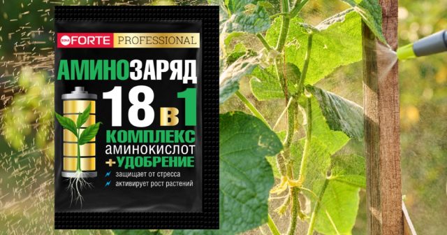 Подкормка комплексом Аминозаряд 18 в 1 Bona Forte по листу позволяет растениям мгновенно получить важные элементы, поступление которых из почвы затруднено – азота и фосфора.