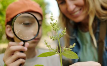 Тест: Узнаете ли вы где сорняк, а где полезное растение? Тест: Узнаете ли вы где сорняк, а где полезное растение?