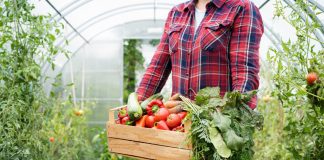 Как продлить урожайный сезон? 11 хитростей, чтобы овощи радовали всю осень - Бахчевые культуры Как продлить урожайный сезон? 11 хитростей, чтобы овощи радовали всю осень