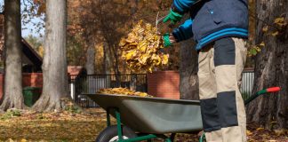 Что нельзя делать садоводам и огородникам в октябре - Календари Что нельзя делать садоводам и огородникам в октябре.