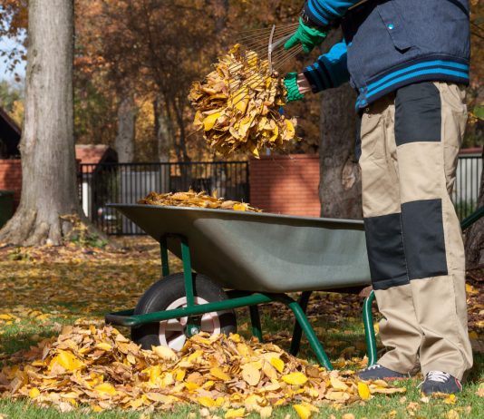 Что нельзя делать садоводам и огородникам в октябре - Календари садово-огородных работ Что нельзя делать садоводам и огородникам в октябре.