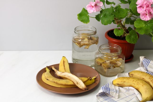 Эко-лайфхаки: используем кухонные отходы для подкормки растений. Эко-лайфхаки: используем кухонные отходы для подкормки растений.