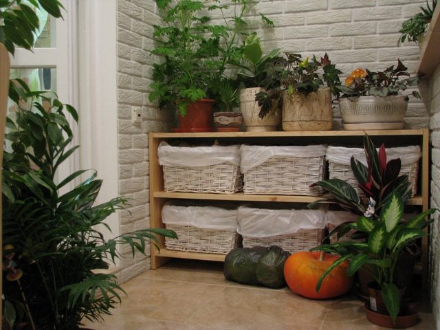 Чтобы хранить урожай на балконе или лоджии, их придётся застеклить и утеплить. Можно дополнительно поставить ящики из толстых досок с плотными крышками, обшитые пенопластом. Чтобы хранить урожай на балконе или лоджии, их придётся застеклить и утеплить. Можно дополнительно поставить ящики из толстых досок с плотными крышками, обшитые пенопластом.