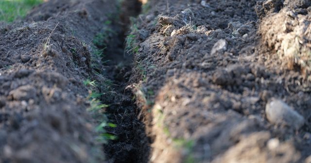 Затем продумайте дренаж, если участок низкий, так как многие газонные травы плохо переносят хроническое заболачивание. Это может быть простая декоративная канавка по периметру, если планируется небольшая лужайка.