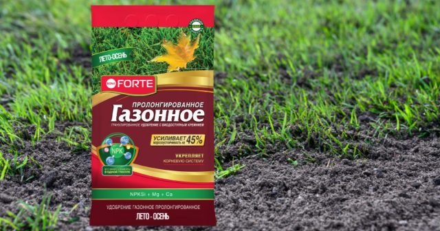 Ранним посевам гранулированное удобрение Газонное Лето-Осень Bona Forte поможет прорасти и сформировать хорошую корневую систему, а для поздних станет стартовым питанием весной.